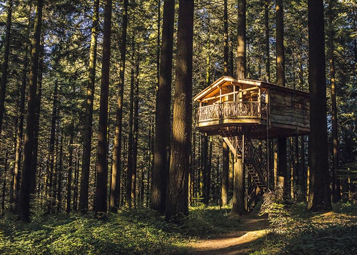 Cabañas en los árboles