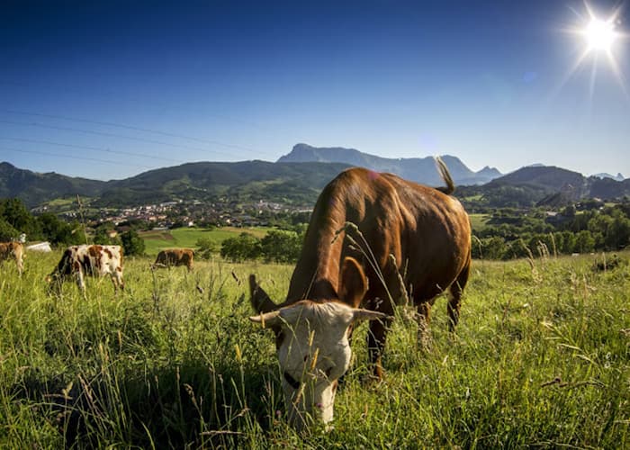 Belaze baserriko Zaporeak