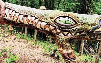 El bosque encantado de Ugasko