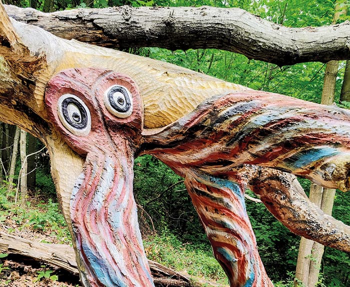 Bosque encantado de Ugasko Bilbao