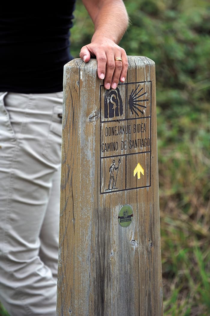 Camino Santiago Bizkaia Señal