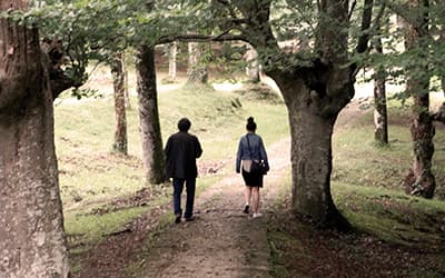 Descubre el corazón verde de Bizkaia en verano