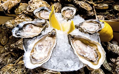 El Puertito, amor por las ostras