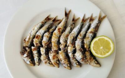 Calendario de las Fiestas del Pescado en Bizkaia