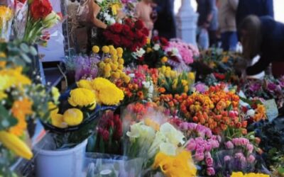Mercados de fin de semana en Bilbao