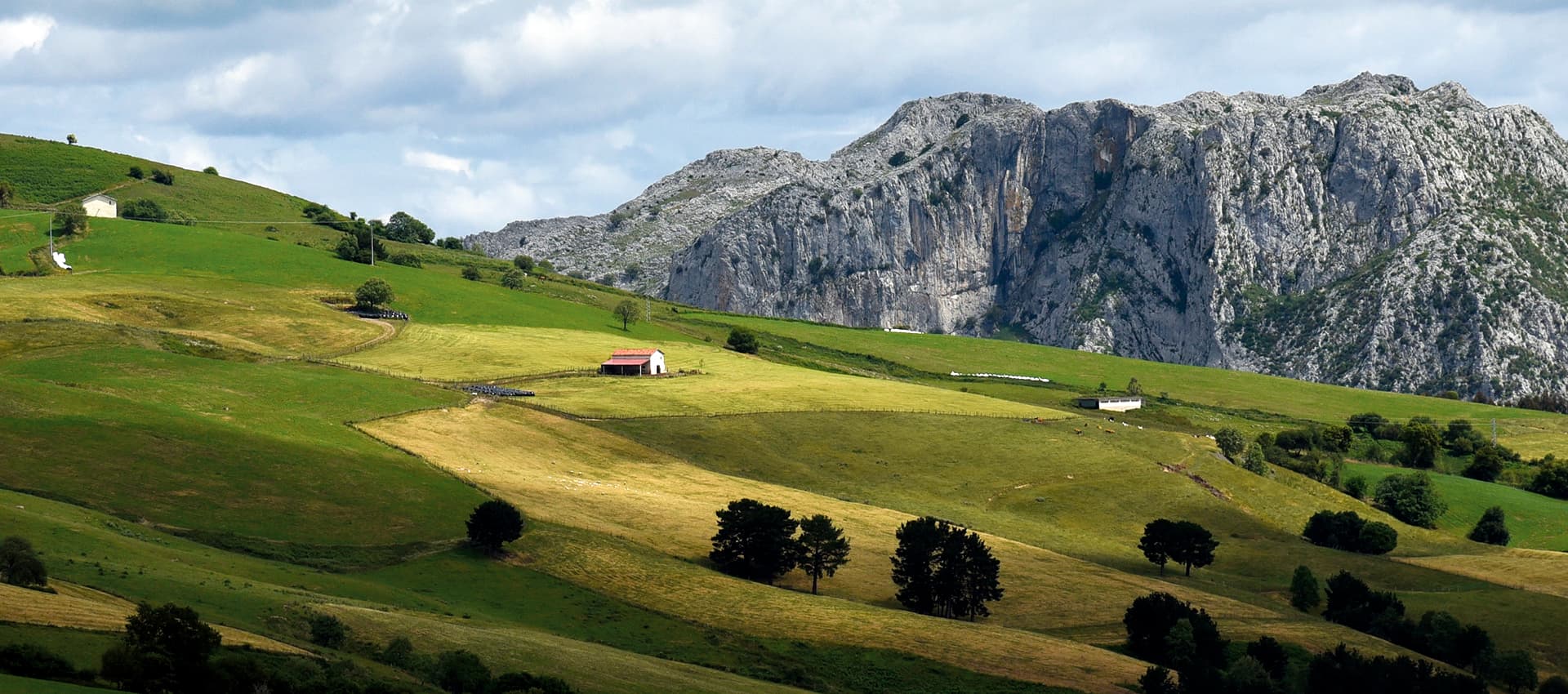 Karrantza Bizkaia verde