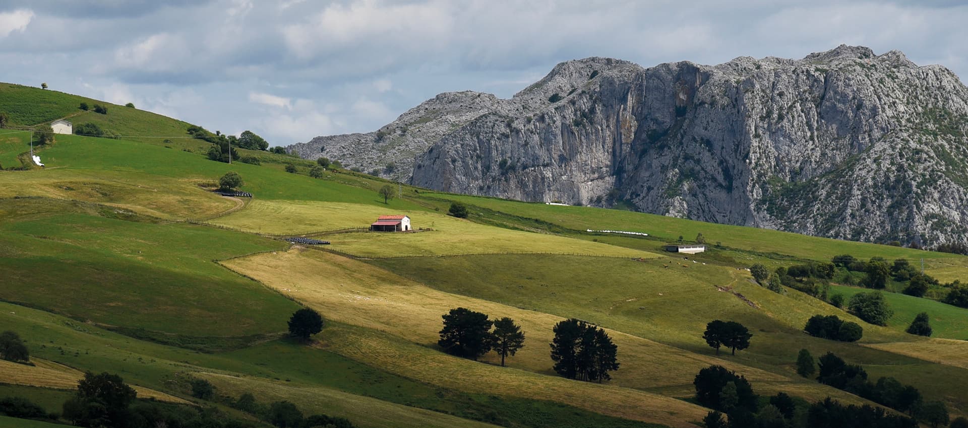 Karrantza valle ovejas