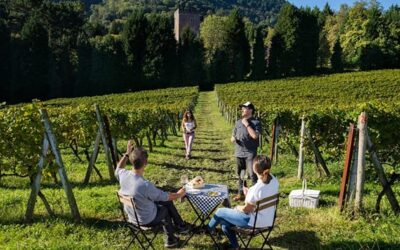 Enoturismo de Txakoli en Bizkaia